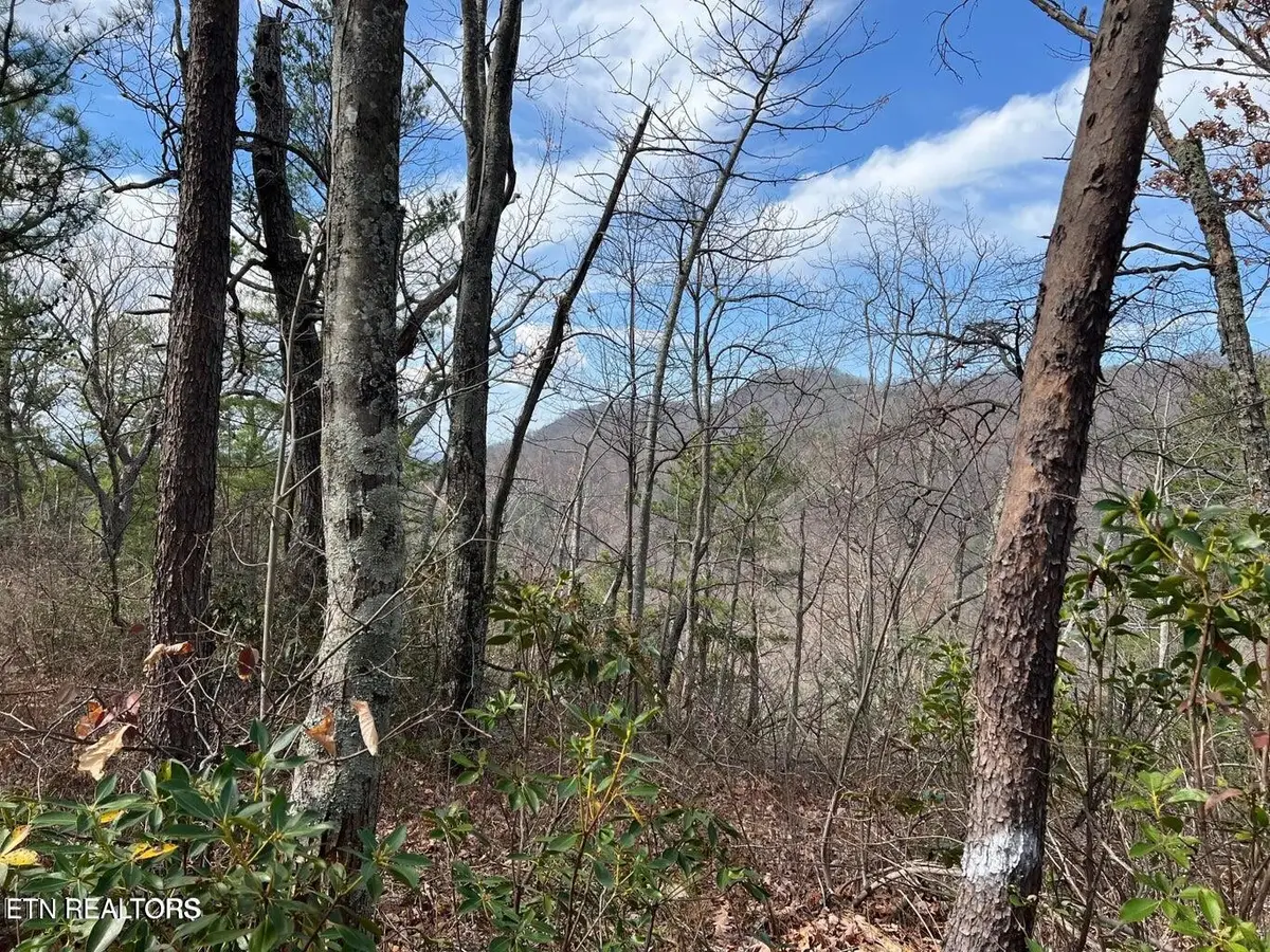 0 Chestnut Ridge Court, Sevierville, TN 37876 - #1