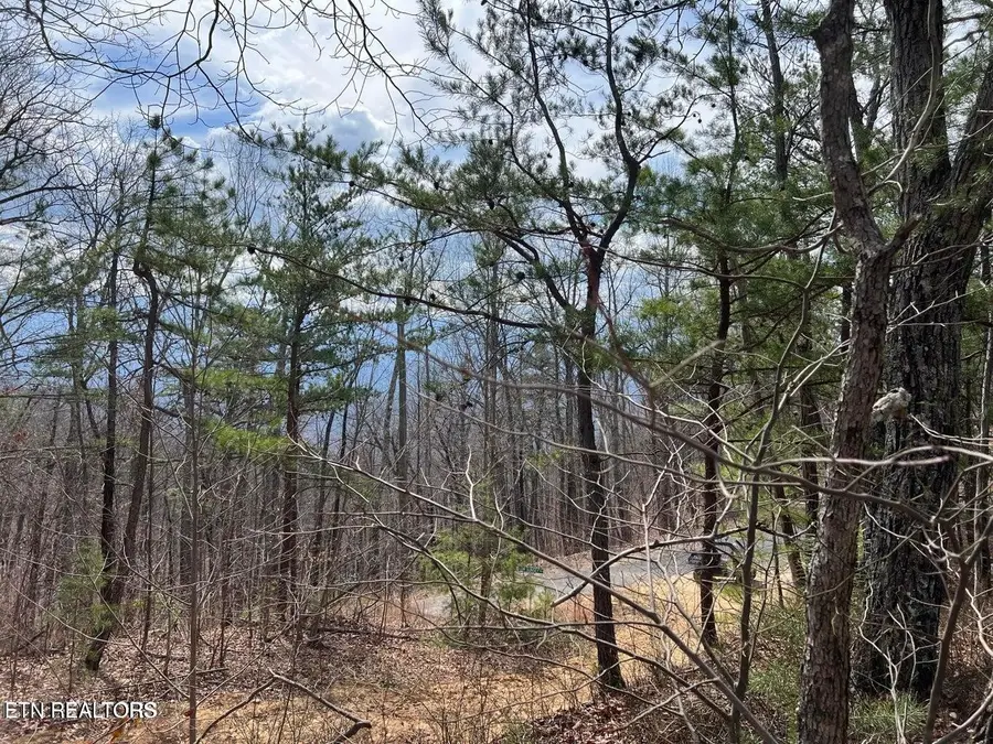 0 Chestnut Ridge Court, Sevierville, TN 37876 - #3