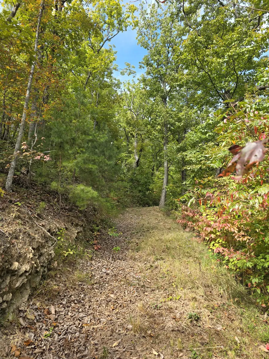 0 Pine Mountain Rd, Sevierville, TN 37863 - #3