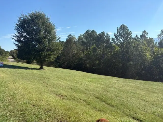 193 Hiwassee Trails Dr, Delano, TN 37325 - #2