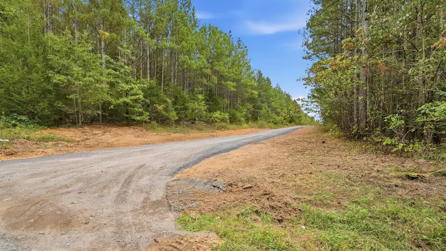 173 Mustang Drive, Calhoun, TN 37309 - #3