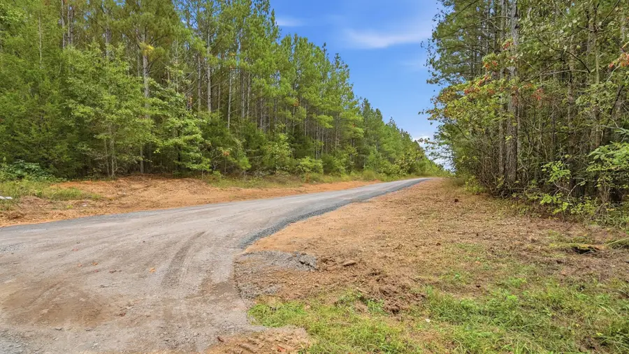161 Mustang Drive, Calhoun, TN 37309 - #3