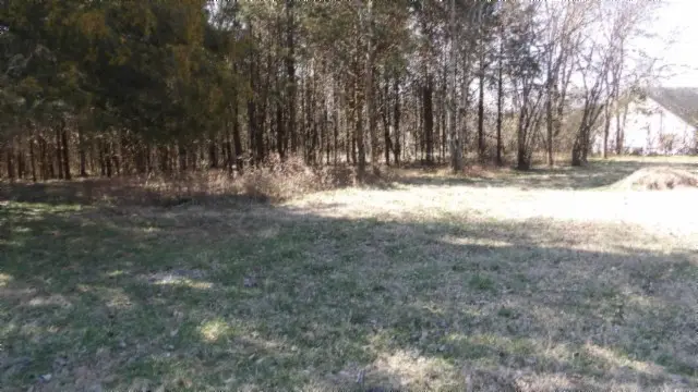 1586 Needmore Rd, Old Hickory, TN 37138 - #2