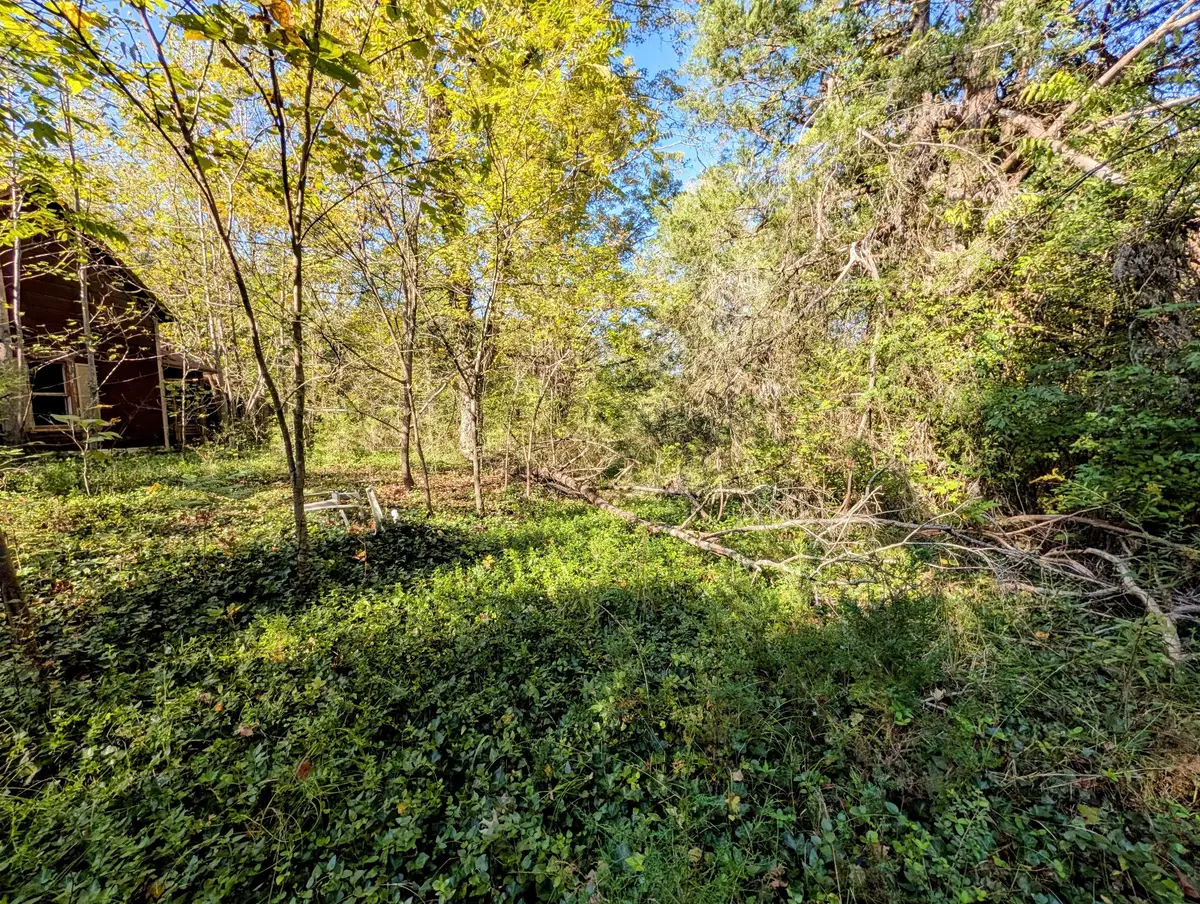 378 Ladd Springs Rd Se, Cleveland, TN 37323 - #1