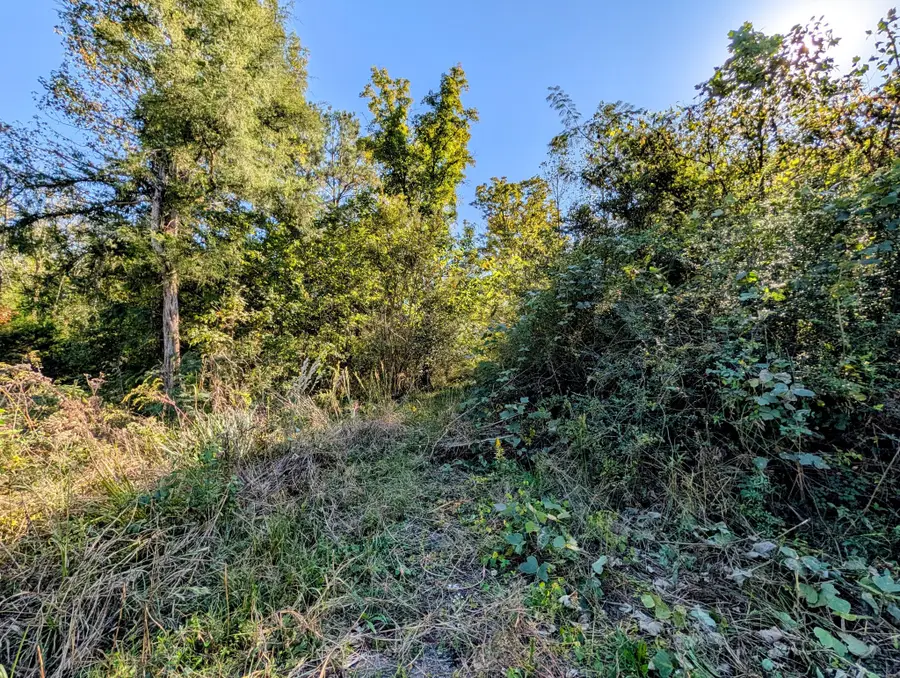 378 Ladd Springs Rd Se, Cleveland, TN 37323 - #3