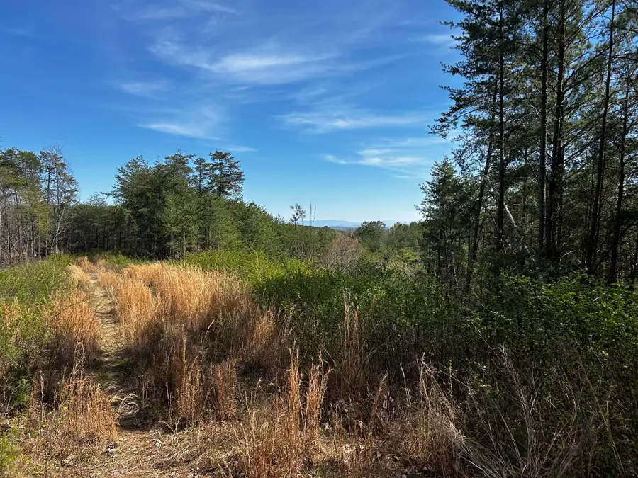 2 Owl Hollow Road Sw, McDonald, TN 37353 - #2