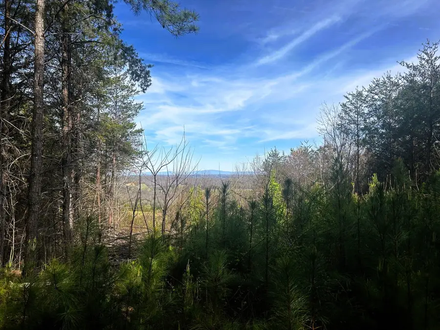 6 Owl Hollow Road Sw, McDonald, TN 37353 - #3