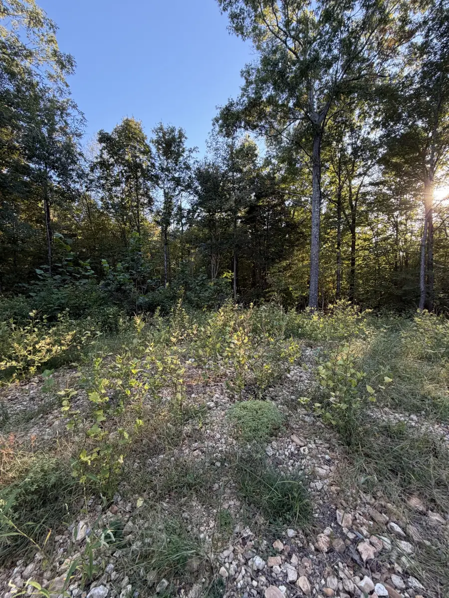 559 Pleasant Hill Rd, Dover, TN 37058 - #2