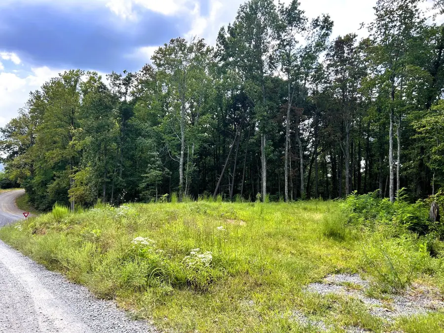 107 Chestnut Mountain Road, Reliance, TN 37369 - #2