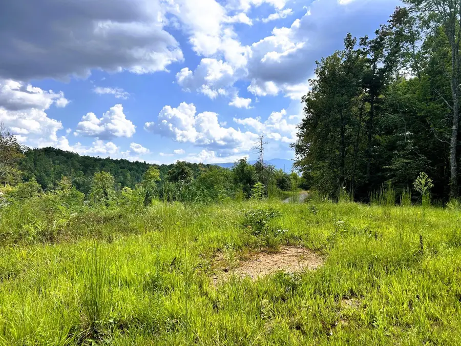107 Chestnut Mountain Road, Reliance, TN 37369 - #3