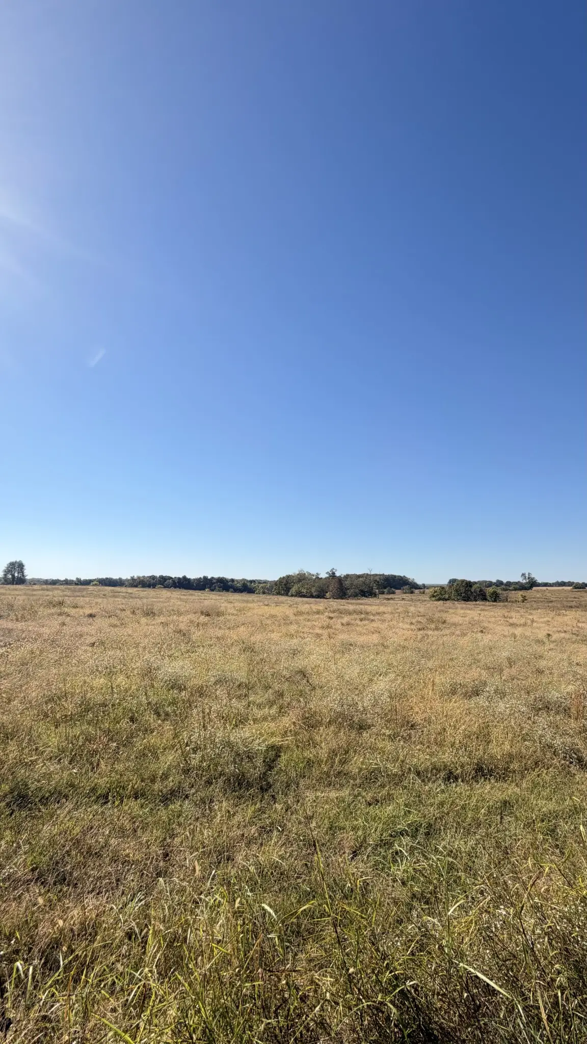 0 Caudill Rd, Franklin, KY 42134 - #1