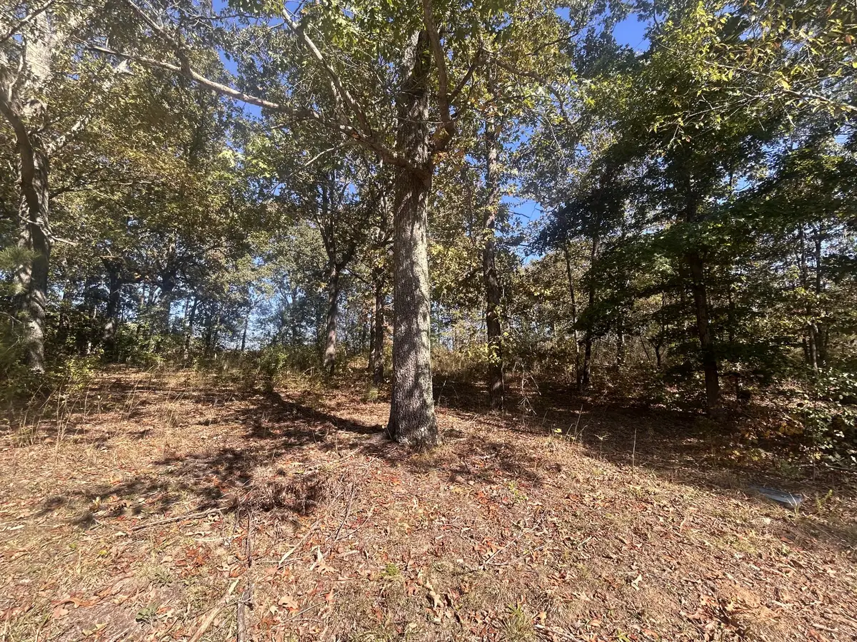 142 Whispering Oaks St, Summertown, TN 38483 - #1