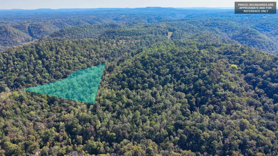 0 Red Bud Lane, Hilham, TN 38568 - #2