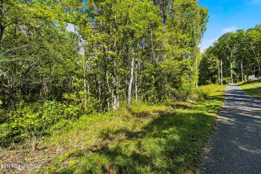 1 Timber Lake Drive, Cosby, TN 37722 - #2