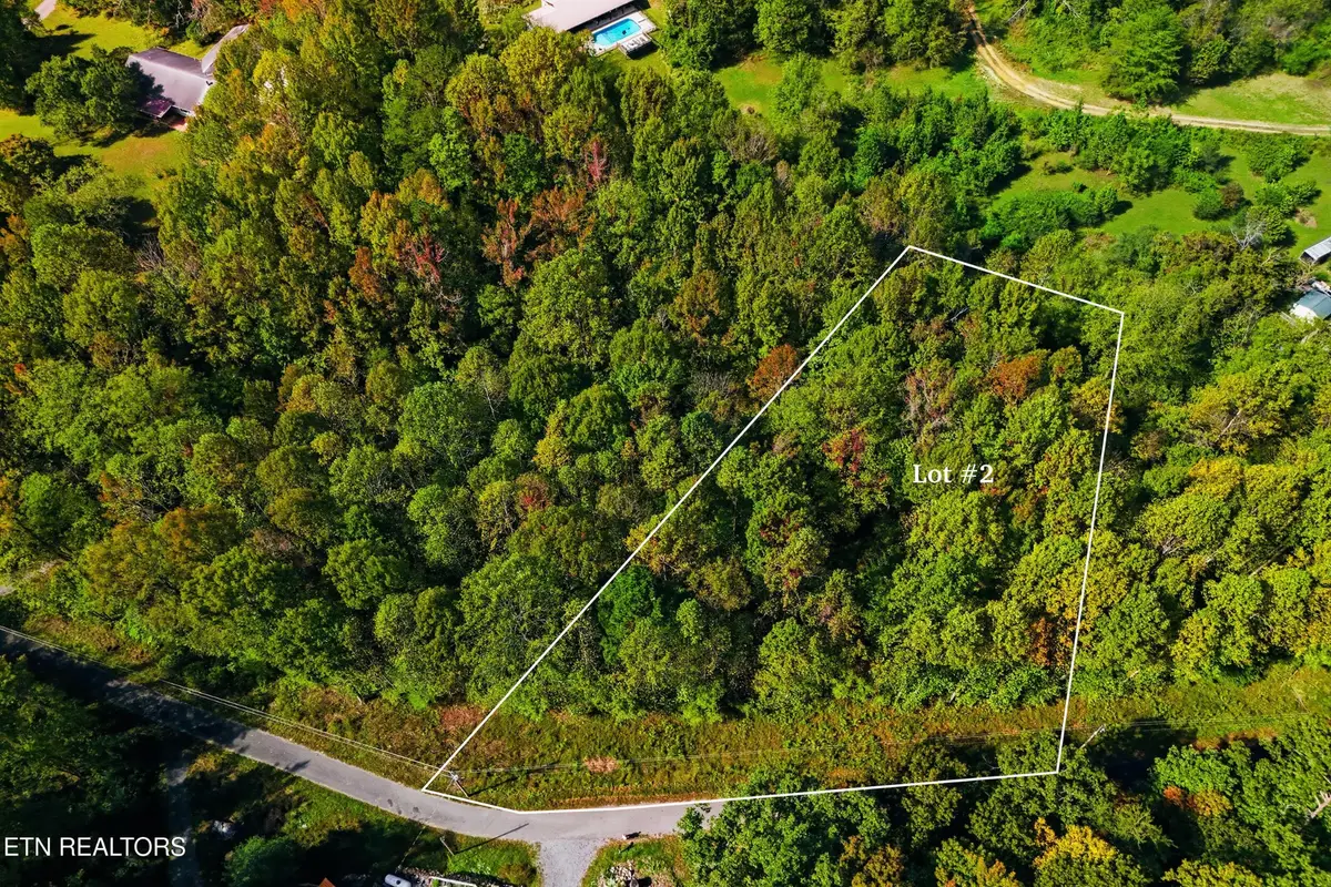 2 Timber Lake Drive, Cosby, TN 37722 - #1