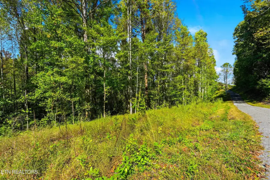 2 Timber Lake Drive, Cosby, TN 37722 - #2