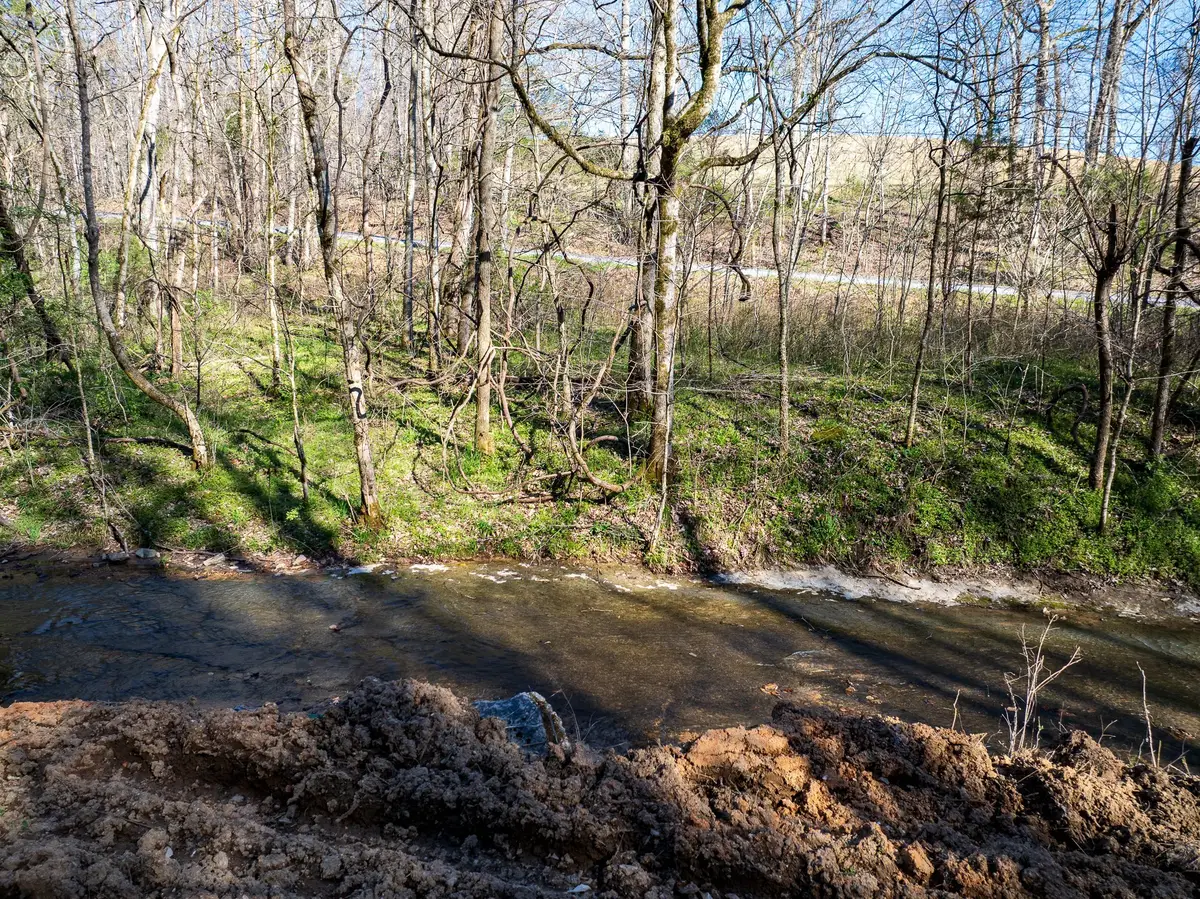 0 Dog Creek Rd, Primm Springs, TN 38476 - #1