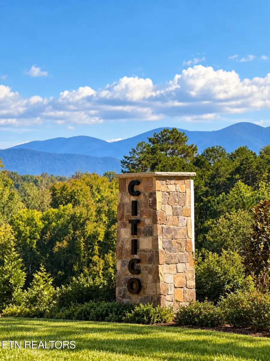 452 Federal Ferry Circle, Vonore, TN 37885 - #2