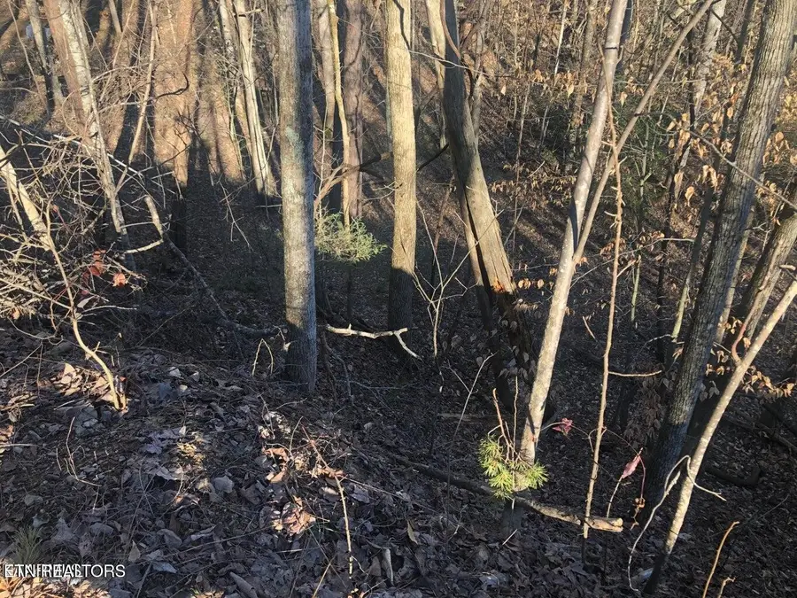 0 Yellowwood Drive, Sevierville, TN 37876 - #2
