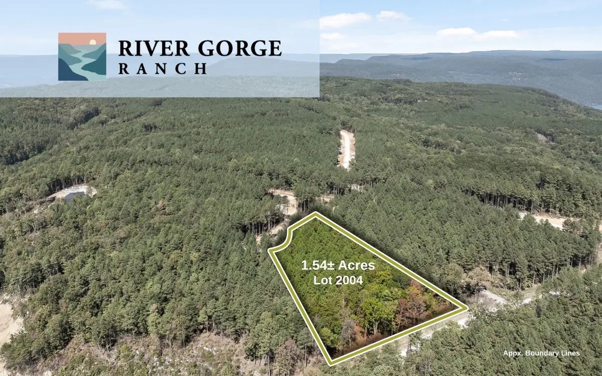 2004 Stardust Court, Guild, TN 37340 - #1