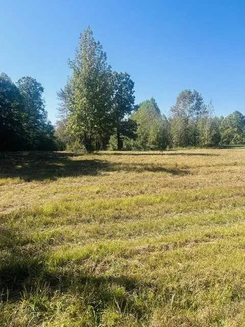 3638 Hwy 192, Holladay, TN 38341