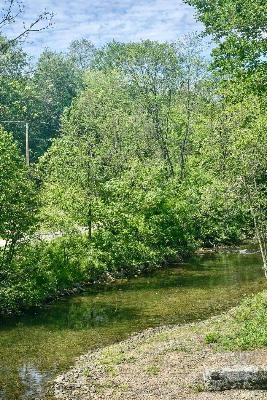 0 Little Bartons Creek Rd, Cumberland Furnace, TN 37051 - #2