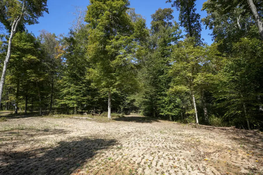 4 Highway 149, Cumberland City, TN 37050 - #2