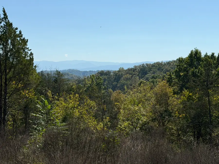 449 Red Cedar Ridge Road, Sevierville, TN 37876 - #2
