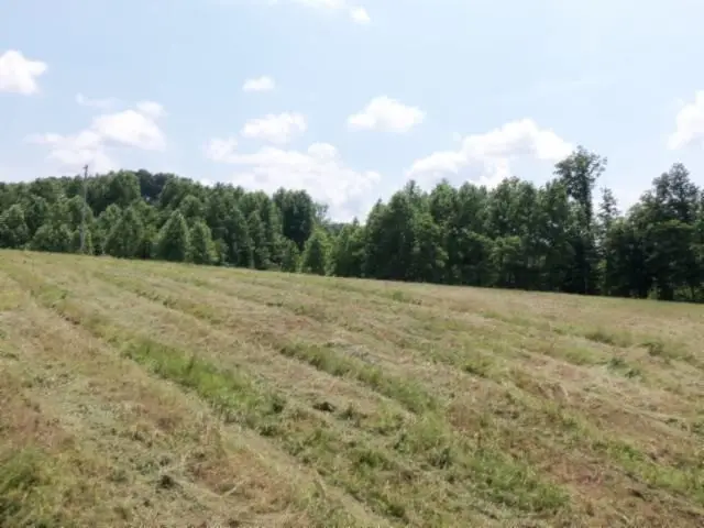 0 Mate Allen Rd, Gainesboro, TN 38562 - #2