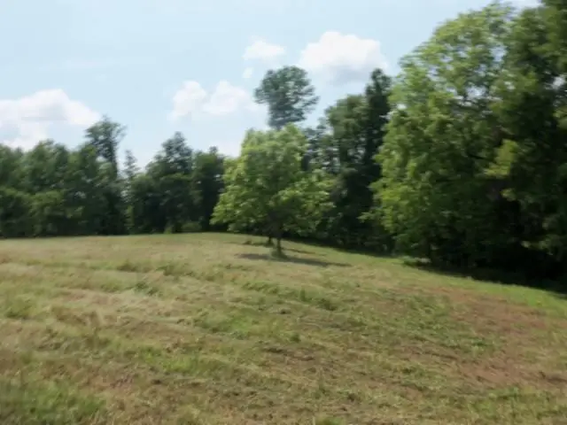 0 Mate Allen Rd, Gainesboro, TN 38562 - #3
