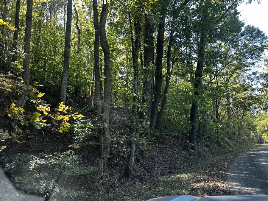 40 Roberts Road, Prospect, TN 38477 - #3