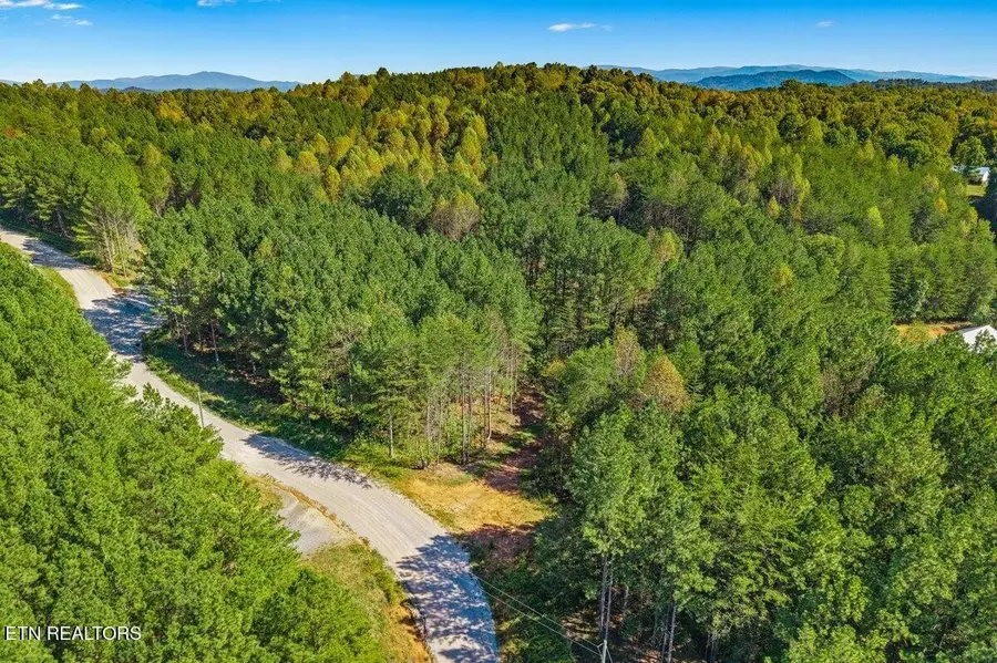 1979 Ballplay Rd, Madisonville, TN 37354 - #3