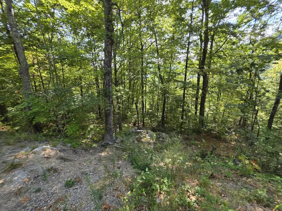 0 Overholt Trl, Sevierville, TN 37862 - #3