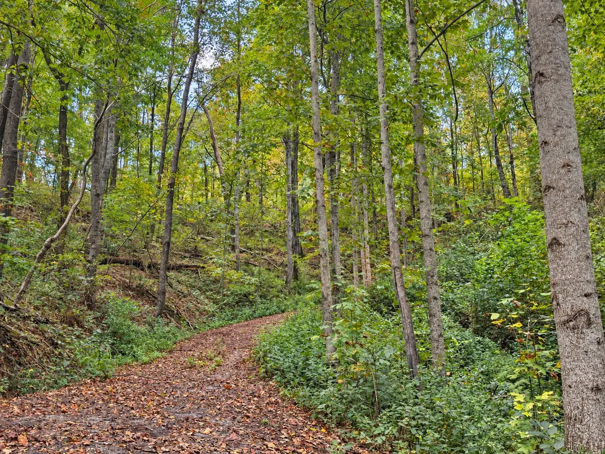 0 Harbor Dr, Lancaster, TN 38569 - #1