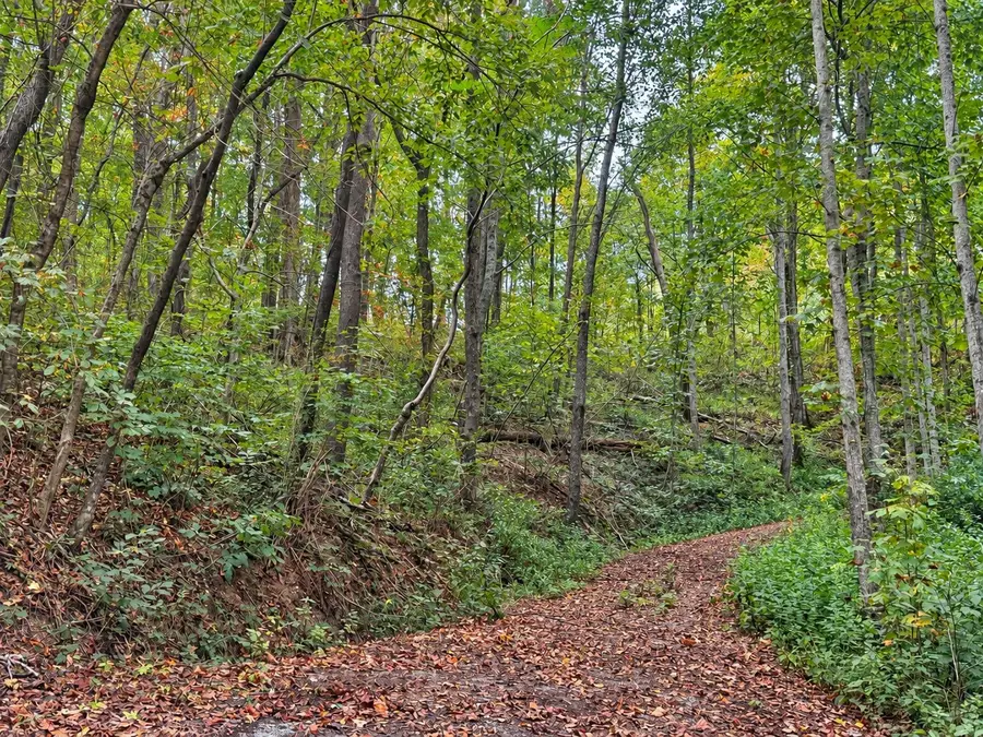 0 Harbor Dr, Lancaster, TN 38569 - #3