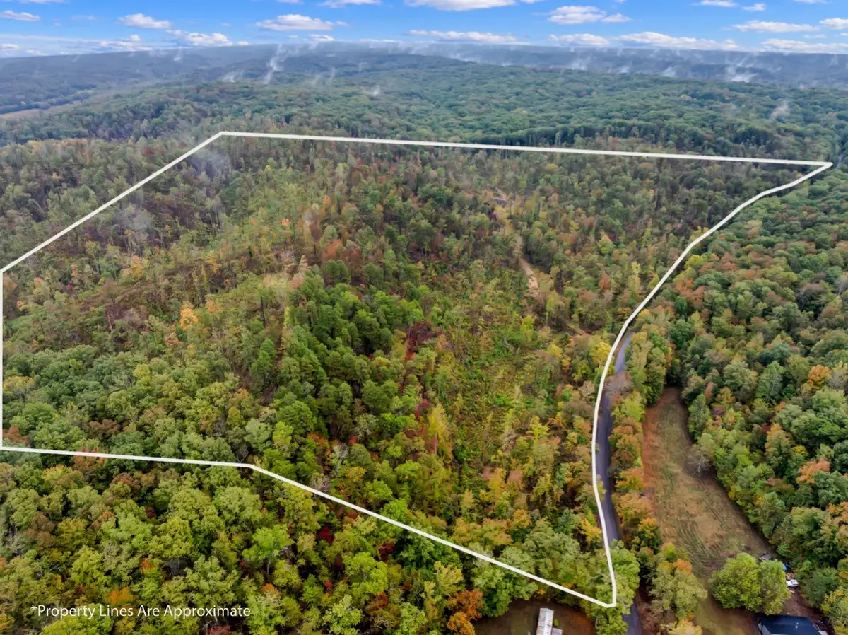 0 Only Road, Only, TN 37140 - #1