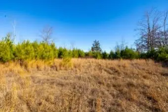 0 White Oak Rd, Stewart, TN 37175 - #2