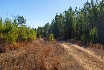 0 White Oak Rd, Stewart, TN 37175 - #3