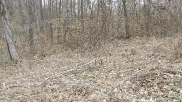 0 Beaver Lane, Gainesboro, TN 38562 - #1