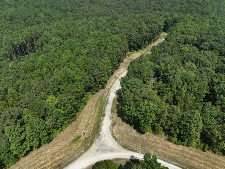 0 Wild Daisy Court, Hurricane Mills, TN 37078 - #2
