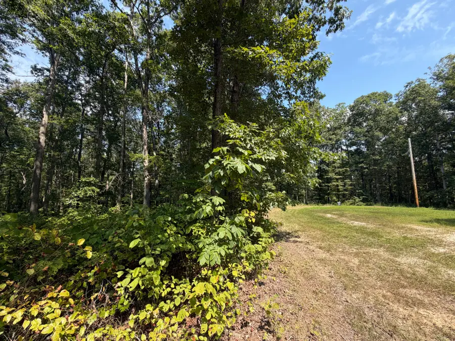 0 Wild Daisy Court, Hurricane Mills, TN 37078 - #3