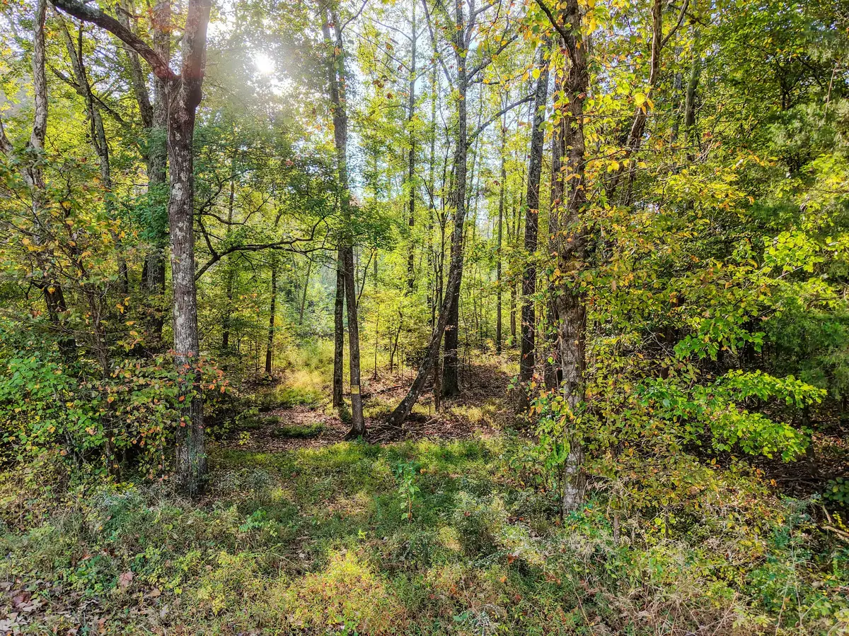 0 Second Creek Rd, Lutts, TN 38471 - #1