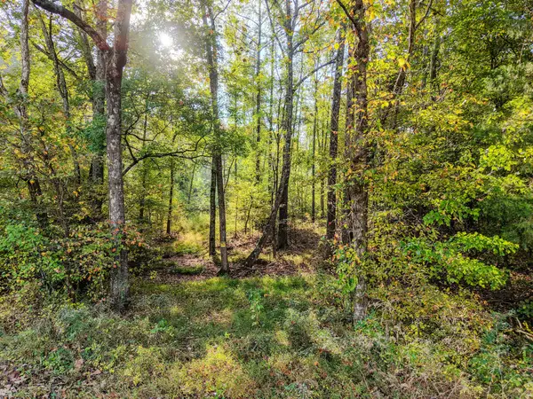 0 Second Creek Rd, Lutts, TN 38471