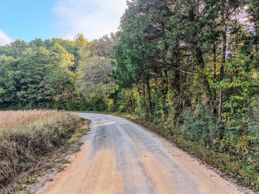0 Second Creek Rd, Lutts, TN 38471 - #2