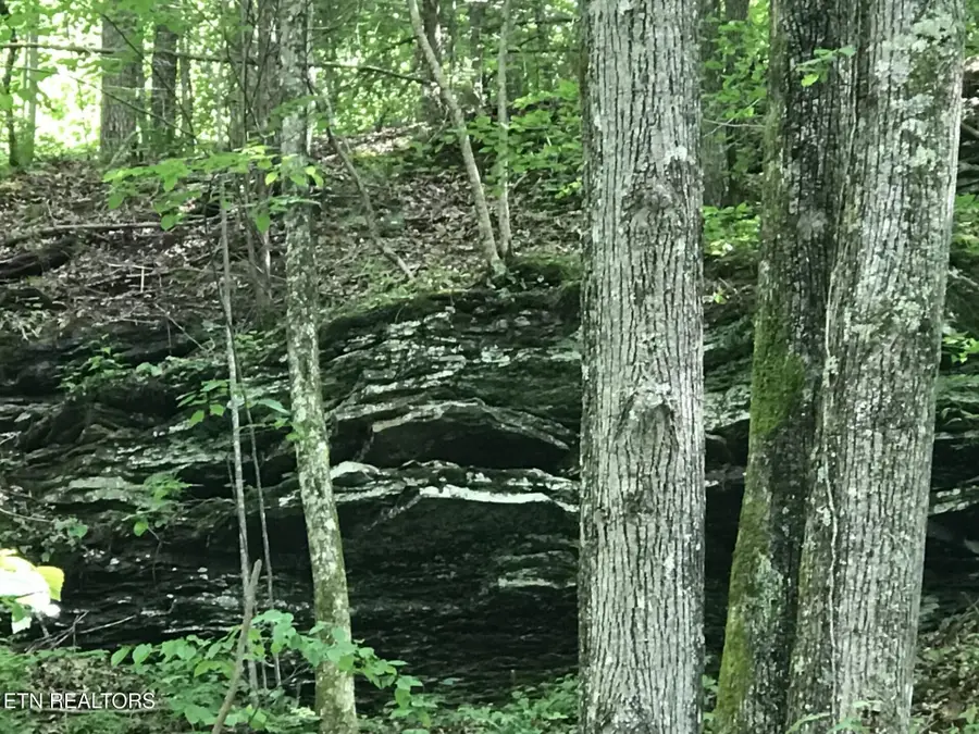 0 Happy Top Rd, Crossville, TN 38555 - #2