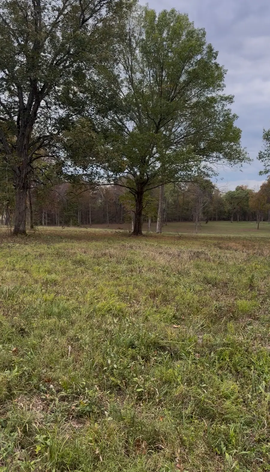 0 El Bethel Rd, Shelbyville, TN 37160 - #3