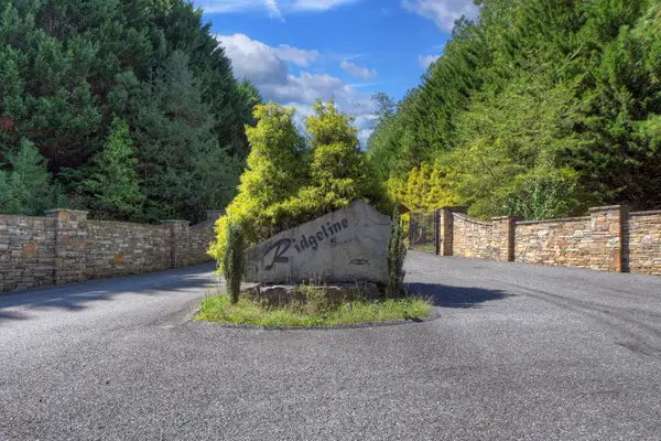 0 Skyline Drive, Turtletown, TN 37391