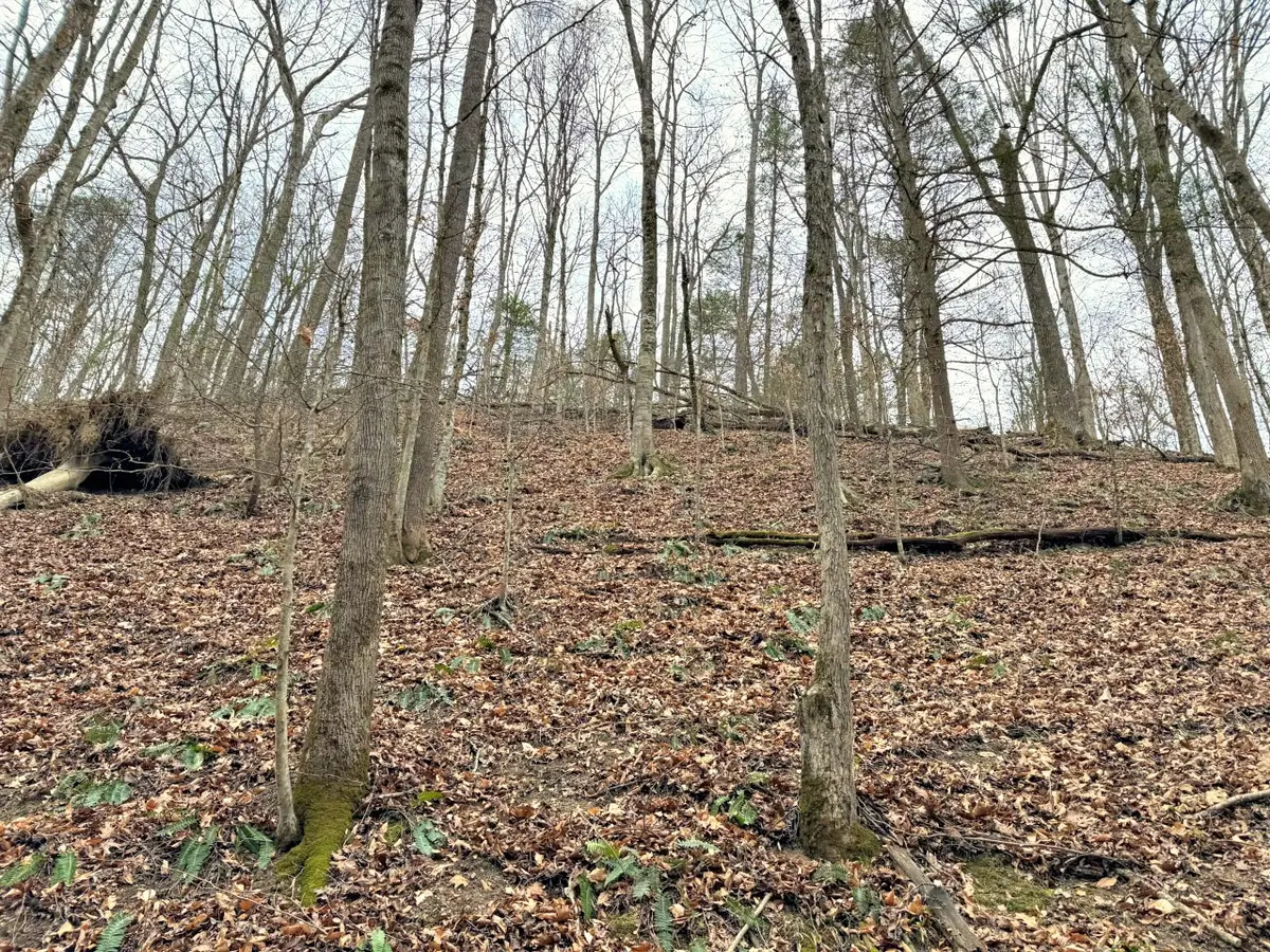 520 Johnny Carrier Hollow Rd, Bluff City, TN 37618 - #1