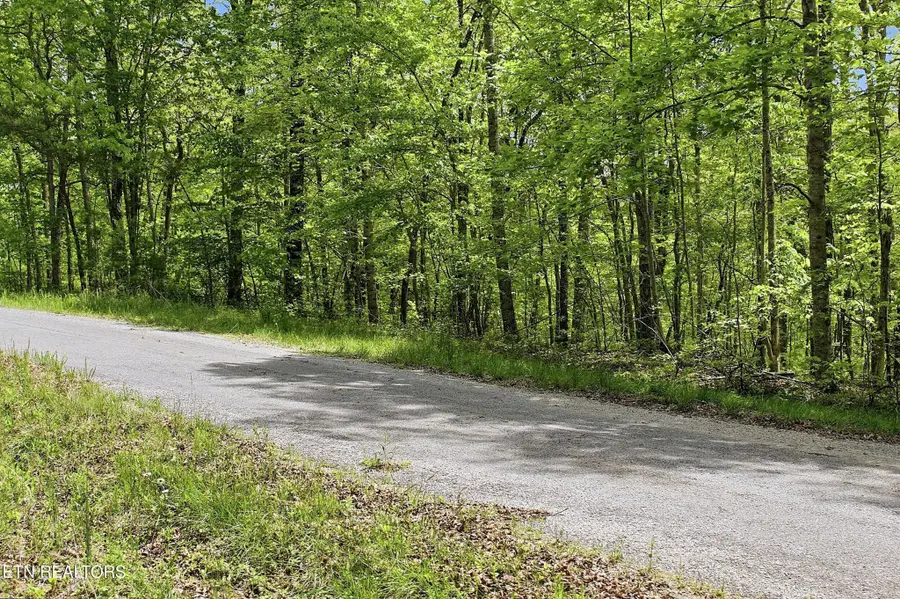 0 T Rd, Monterey, TN 38574 - #3