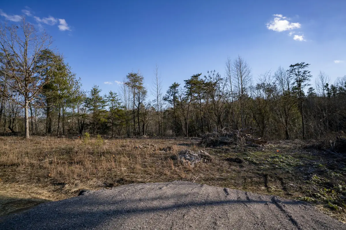 353 Rock Creek Road, Lookout Mountain, GA 30750 - #1